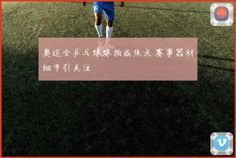 奥运会乒乓球球拍成焦点 赛事器材细节引关注
