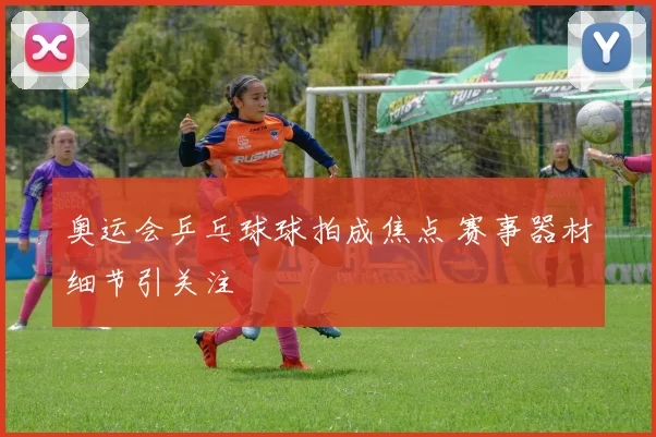 奥运会乒乓球球拍成焦点 赛事器材细节引关注