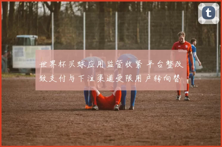 世界杯买球应用监管收紧 平台整改致支付与下注渠道受限用户转向替代服务